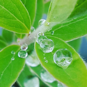 氯霉素水向一le一f照片