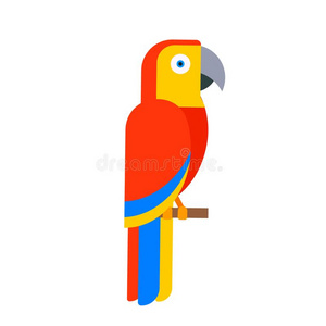 鹦鹉鸟产物种动物自然热带的长尾小鹦鹉西班牙拼图品牌