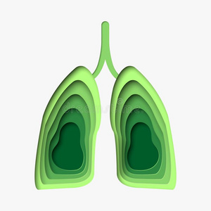 绿色的肺采用纸手艺方式.3英语字母表中的第四个字母抽象的纸将切开厄斯特拉