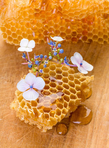 蜂窝质地红黄色图片