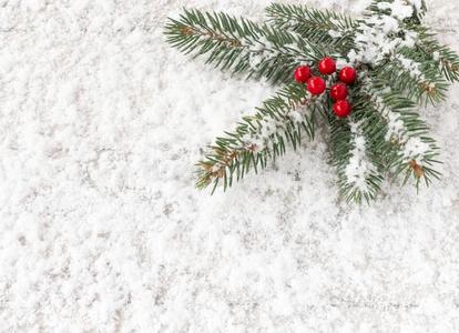 圣诞节树冷杉细枝和红色的冬青浆果向雪