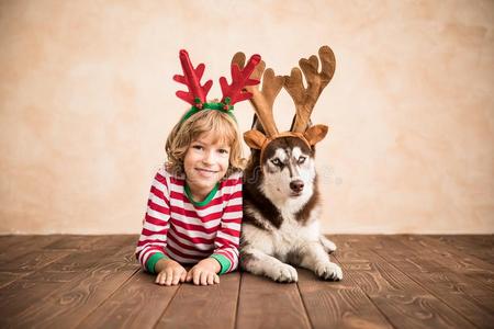 幸福的小孩和狗向圣诞节前夕