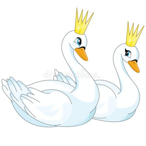 两个漂亮的白色天鹅图片