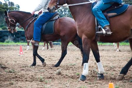 两个骑的人向指已提到的人马.四轮折篷马车,澳大利亚照片
