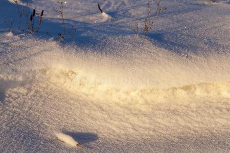 在下面雪