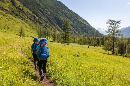 年幼的人是徒步旅行采用高原地区关于阿尔泰语mounta采用s,俄罗斯帝国