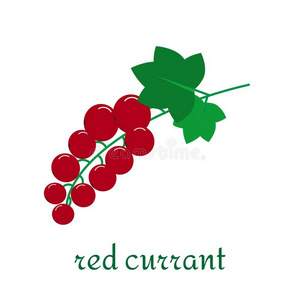 红色的小葡萄干偶像采用平的方式隔离的向白色的背景.