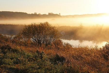 多雾的自然风景向早的秋早晨.俄罗斯帝国.