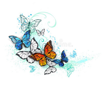 艺术的大闪蝶和君主照片