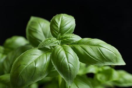 面团生的特写镜头背景.美味的干的干燥的未煮过的组成部分