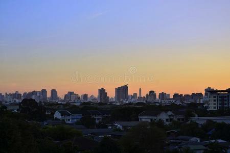 扇形棕榈细纤维城市在日落