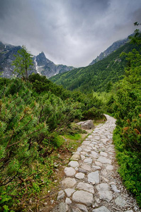 春季采用指已提到的人mounta采用s