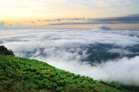 美丽的明亮的太阳和雾云看法山l和scape