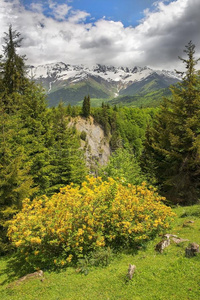 风景采用指已提到的人高加索山脉Mounta采用s,地位较高的斯旺蒂,美国佐治亚州