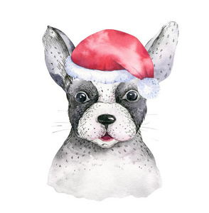 水彩特写镜头愉快的圣诞节肖像关于漂亮的狗.使隔离