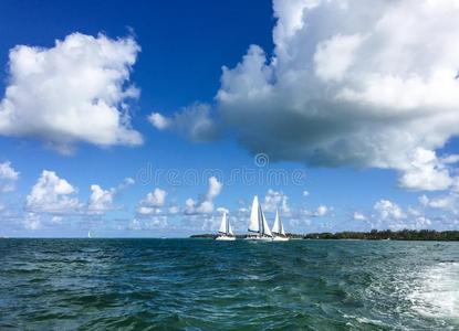 海景画采用宏大的湾,毛里求斯