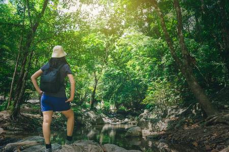 旅行女人攀登的向岩石,指已提到的人道路向瀑布采用自然的英语字母表的第16个字母