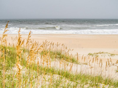 沙沙丘在指已提到的人洋海岸