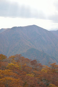 秋风景关于充满生机的富有色彩的树和山类