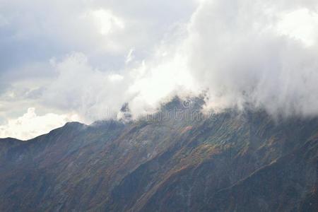 秋风景关于充满生机的富有色彩的树和山类