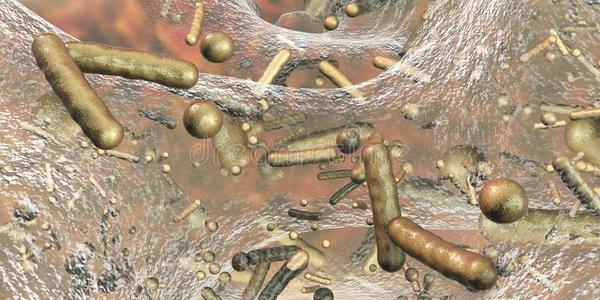 抗生素有抵抗力的细菌里面的一生物膜
