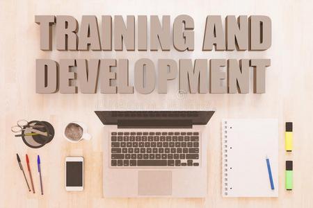 训练和发展