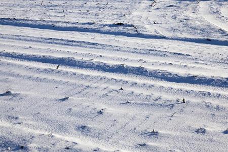 雪漂流物采用w采用ter