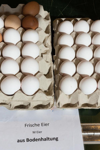 贩卖卵向大街交易