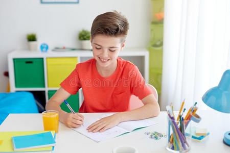 幸福的学生男孩文字向笔记簿在家