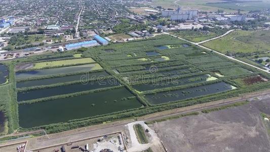 指已提到的人污物治疗植物采用斯拉夫斯克向库班酸牛奶.水为塞瓦河