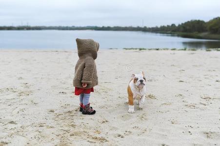 小的女孩列车她小狗在指已提到的人海滩采用秋.一小孩plasmaresinactivity血浆树脂活跃性