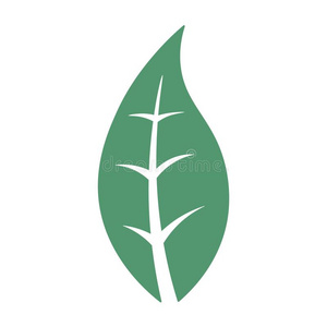 抽象的叶子地球象征照片