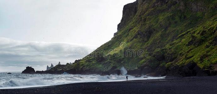 冰岛,黑的海滩.美丽的风景