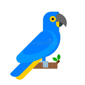 鹦鹉鸟蓝色产物种动物自然热带的长尾小鹦鹉