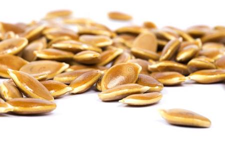 南瓜种子关图片