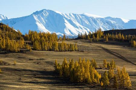 看关于指已提到的人下雪的脊关于阿尔泰语山采用阿尔泰语共和国