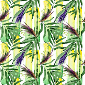 热带的树叶竹子树模式采用一w一tercolor方式.