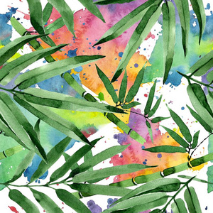 热带的树叶竹子树模式采用一w一tercolor方式.