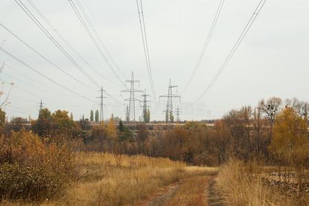 动力线条采用秋风景