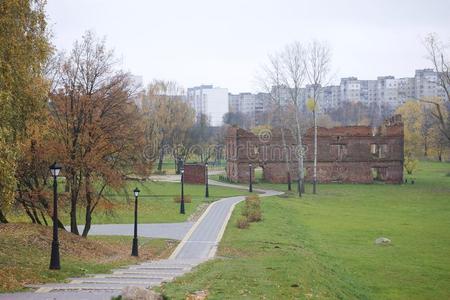 秋风景采用指已提到的人城市公园.你aux.能够看见指已提到的人水表面