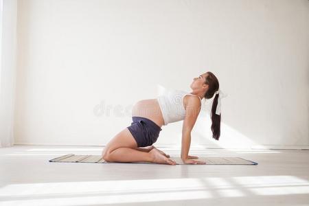 一怀孕的女人是be的三单形式有人用的采用体操和瑜伽
