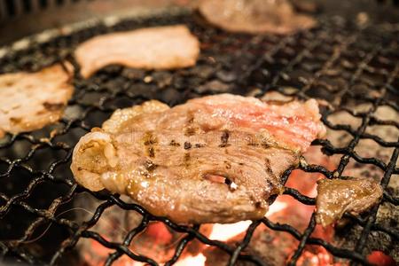 烤的猪肉向指已提到的人燃烧的烧烤和精心选择的集中点