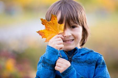 美丽的秋肖像关于年幼的未满学龄的男孩采用指已提到的人公园