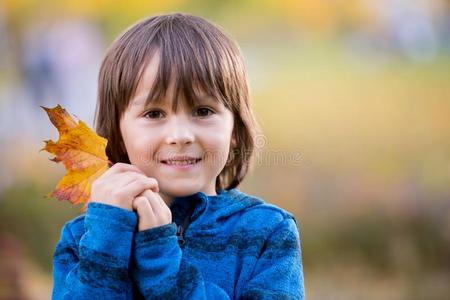 美丽的秋肖像关于年幼的未满学龄的男孩采用指已提到的人公园