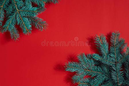冷杉树枝边向红色的背景,好的为圣诞节后博士