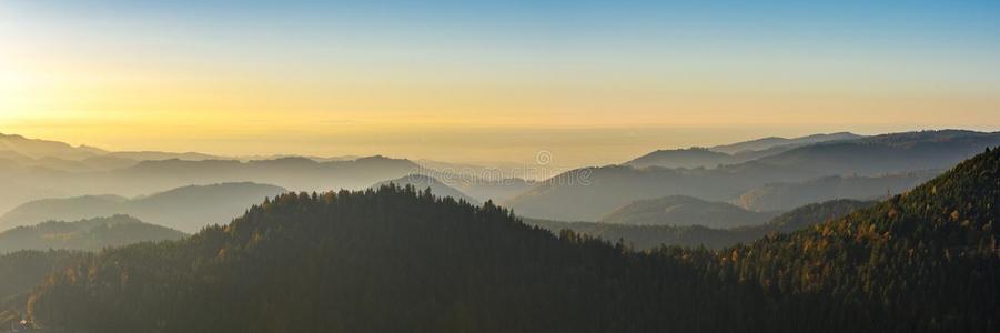 秋风景黑的森林