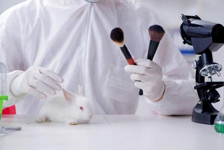 指已提到的人白色的兔子采用科学的实验室实验