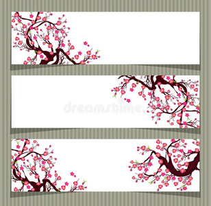 矢量樱桃花为中国人新的年和月的新的年