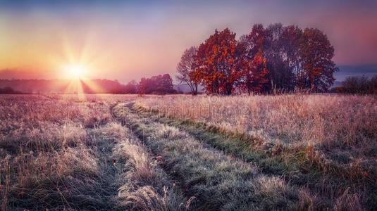 严寒的秋风景在日出向草地.富有色彩的风景一
