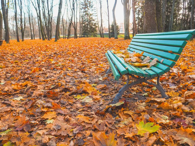 长凳和秋树叶采用指已提到的人公园.